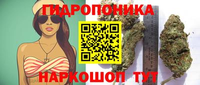 круглые Жуковский