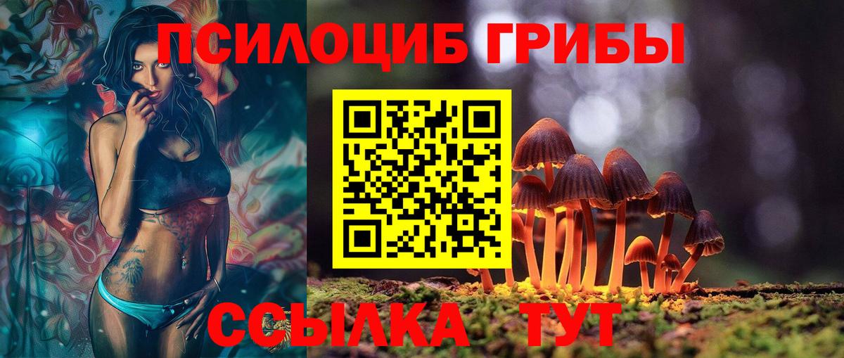 Псилоцибиновые грибы GOLDEN TEACHER  Вход с VPN  Ленинск-Кузнецкий 