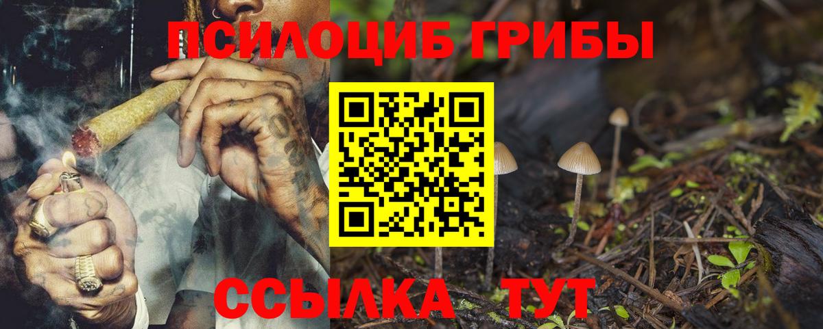 Галлюциногенные грибы прущие грибы Ленинск-Кузнецкий
